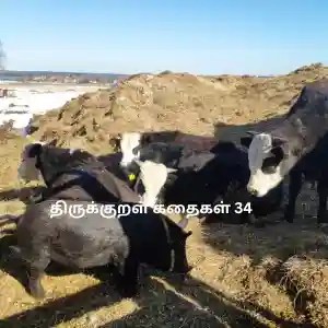 எது வலிமை? - திருக்குறள் கதை 34 சொல்வதென்ன? எது வலிமை - திருக்குறள் கதைகள் 34